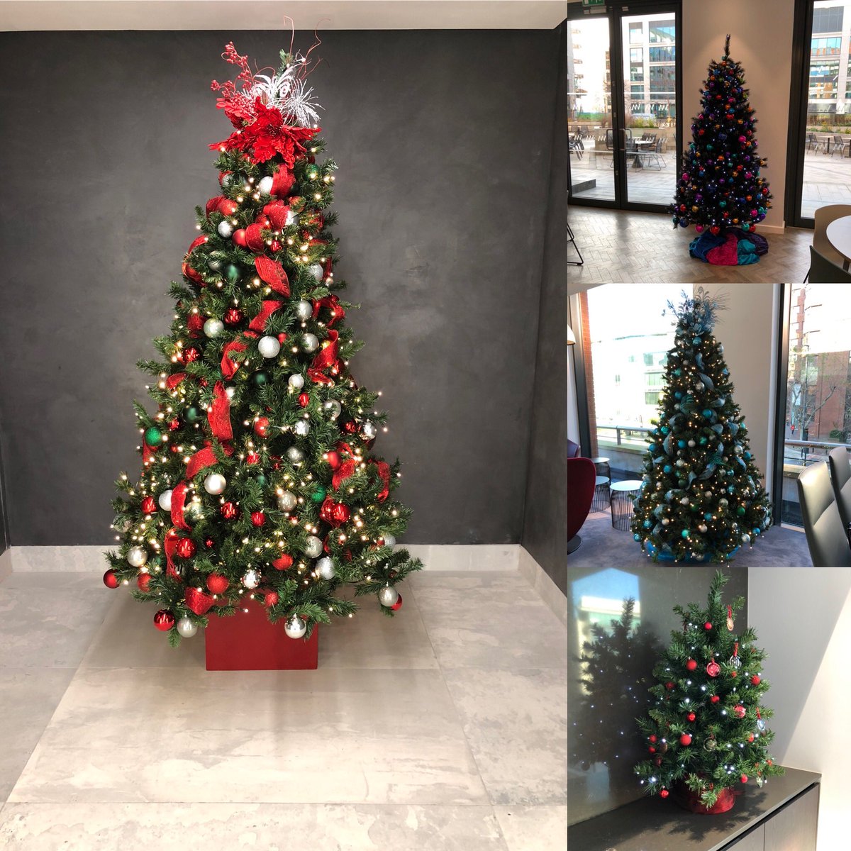 WMgraduate's tweet photo. 🎄WM Trees🎄 It’s beginning to look a lot like Christmas🎅🏻☃️ https://t.co/zh3DTAFQWi