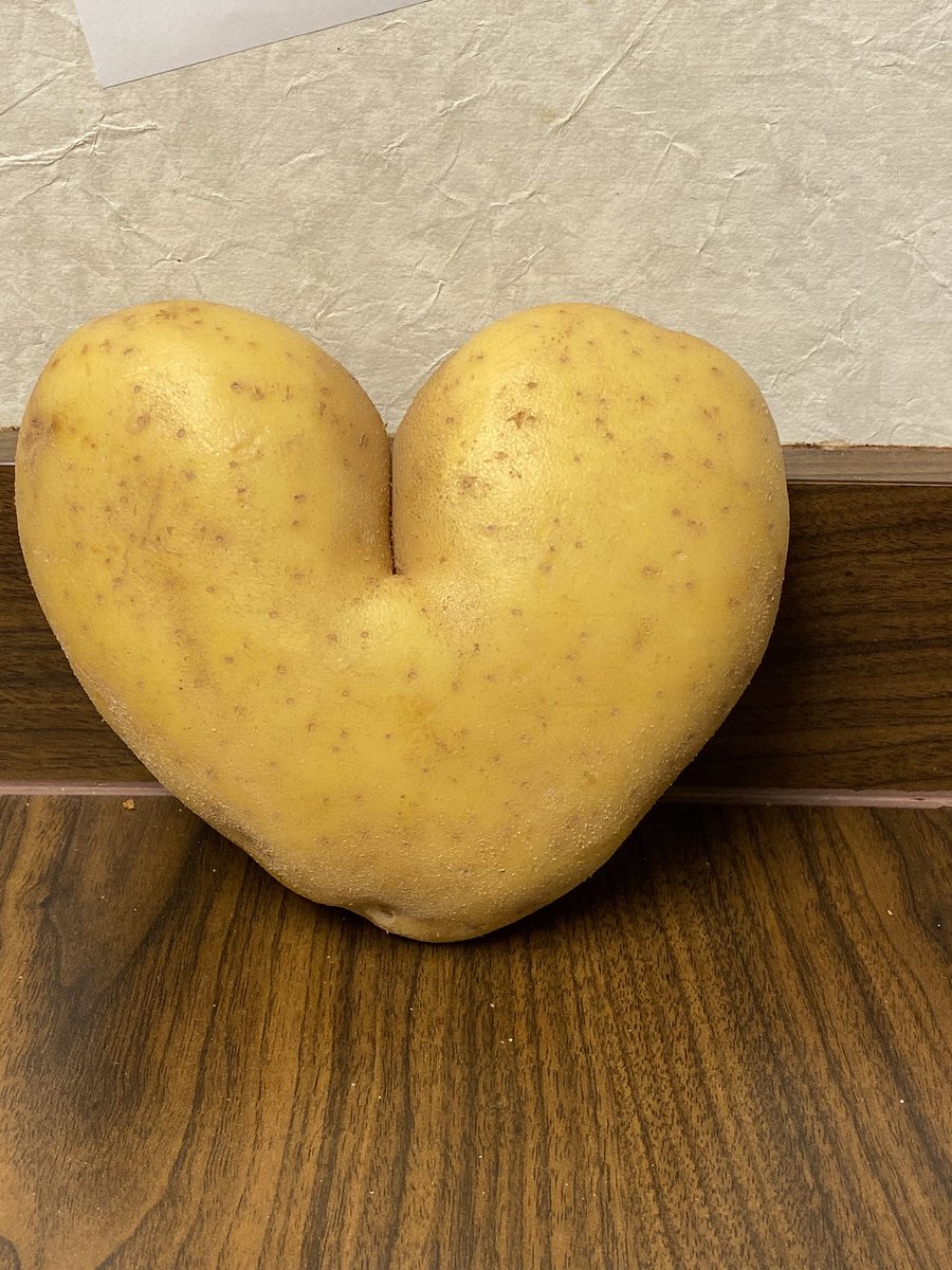 miasolis1983's tweet photo. Nag ask ako ng sign if maichard is real puro Star Lang nkikita ko everywhere kse nga xmas dba and then inutusan ako kumuha ng potato tapos eto ang nakita ko isang malaking heart shaped potato #ALDUB229thWeeksary @mainedcm @aldenrichards02 https://t.co/EhUWor0OGm