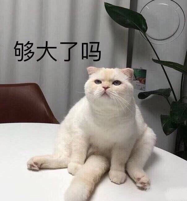 推特人均18+我太难了，励志做个清水推主