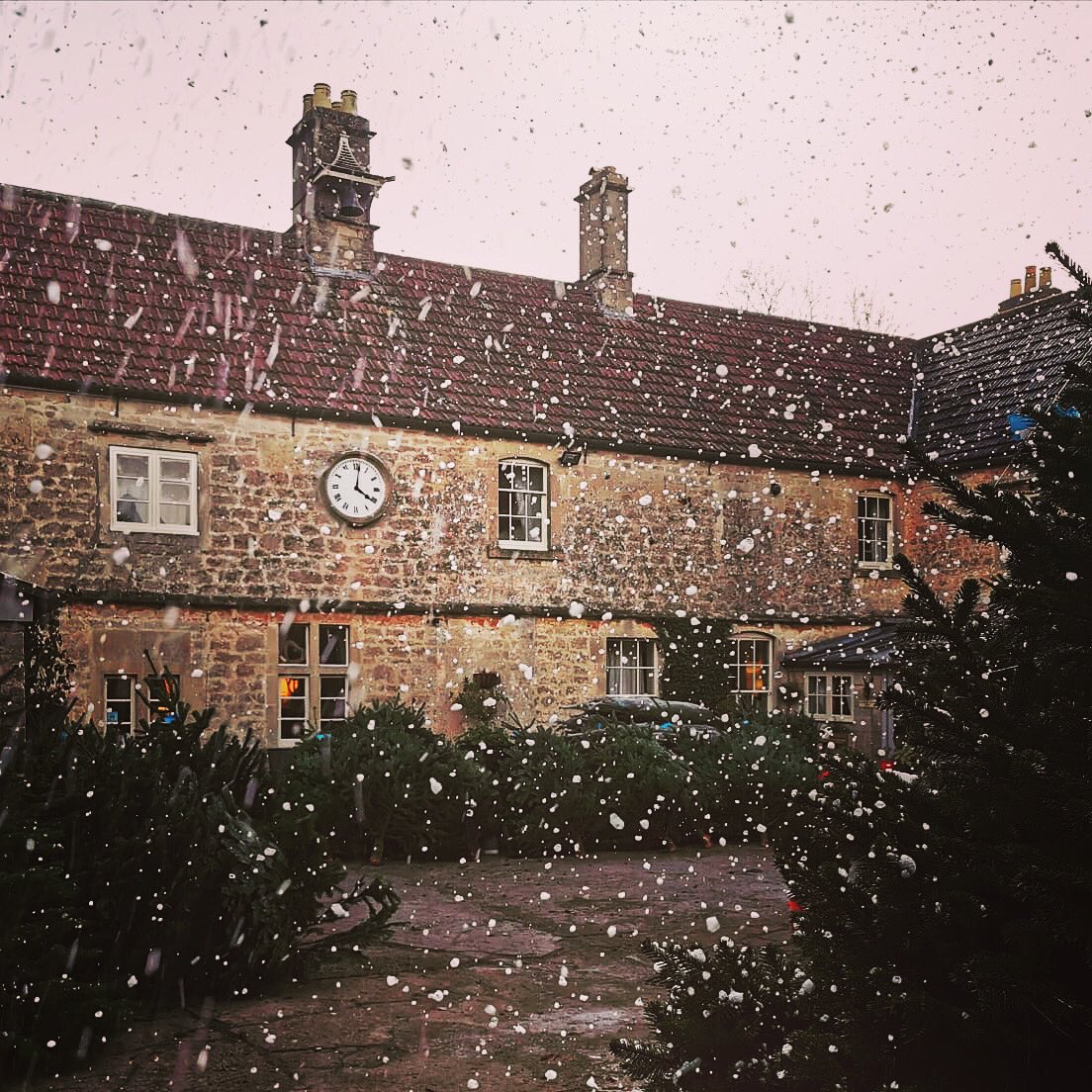 Rainbowwoodfarm photo