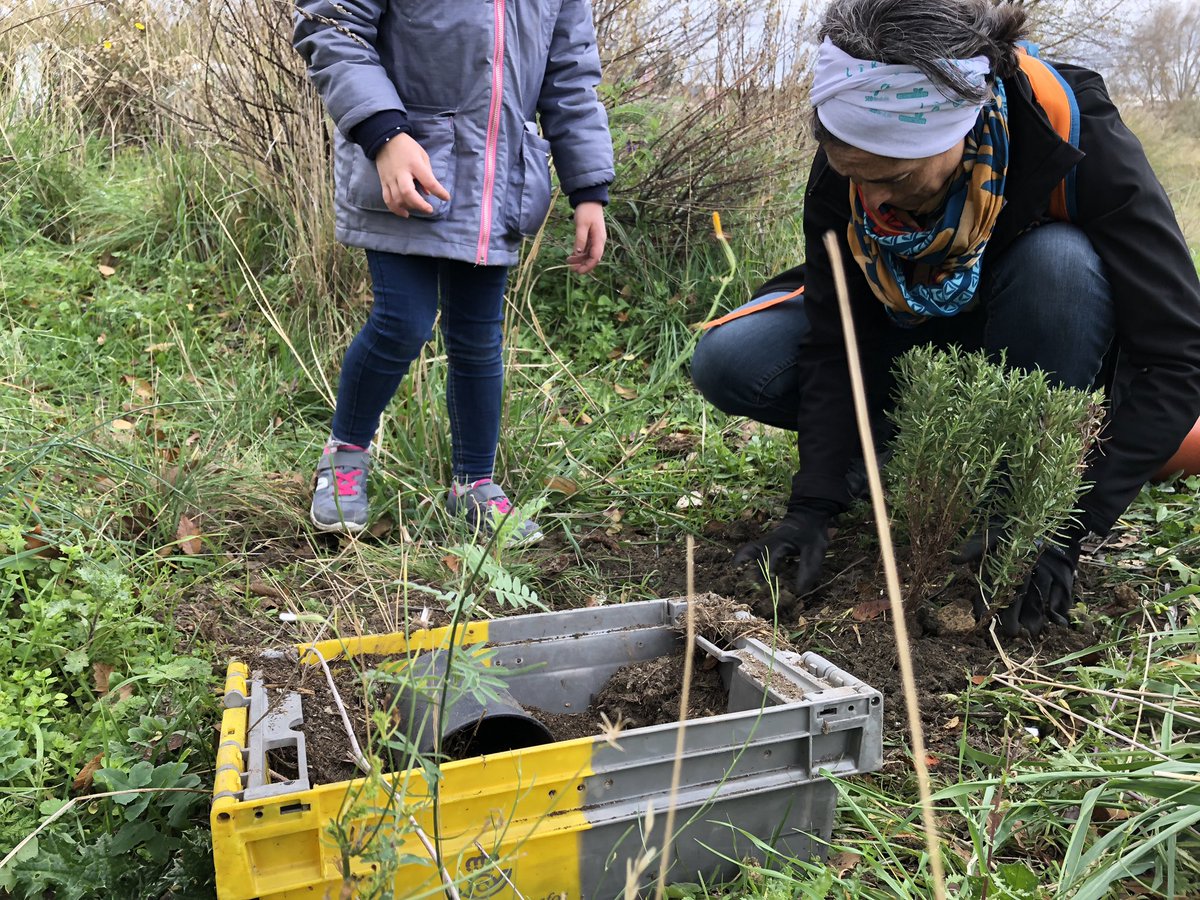 poblado_verde's tweet photo. GRACIAS a l@s voluntari@s en la recogida y plantación del sábado. En solo 3 horas conseguimos sacar más de 40kg de #basuraleza de nuestra querida rincón de la #biodiversidad. Además esta vez hemos realizado una plantación de árboles y arbustos 🌳🌳. Suerte chiquinines... 🌎❤️🙏 https://t.co/l5aHwGbceL