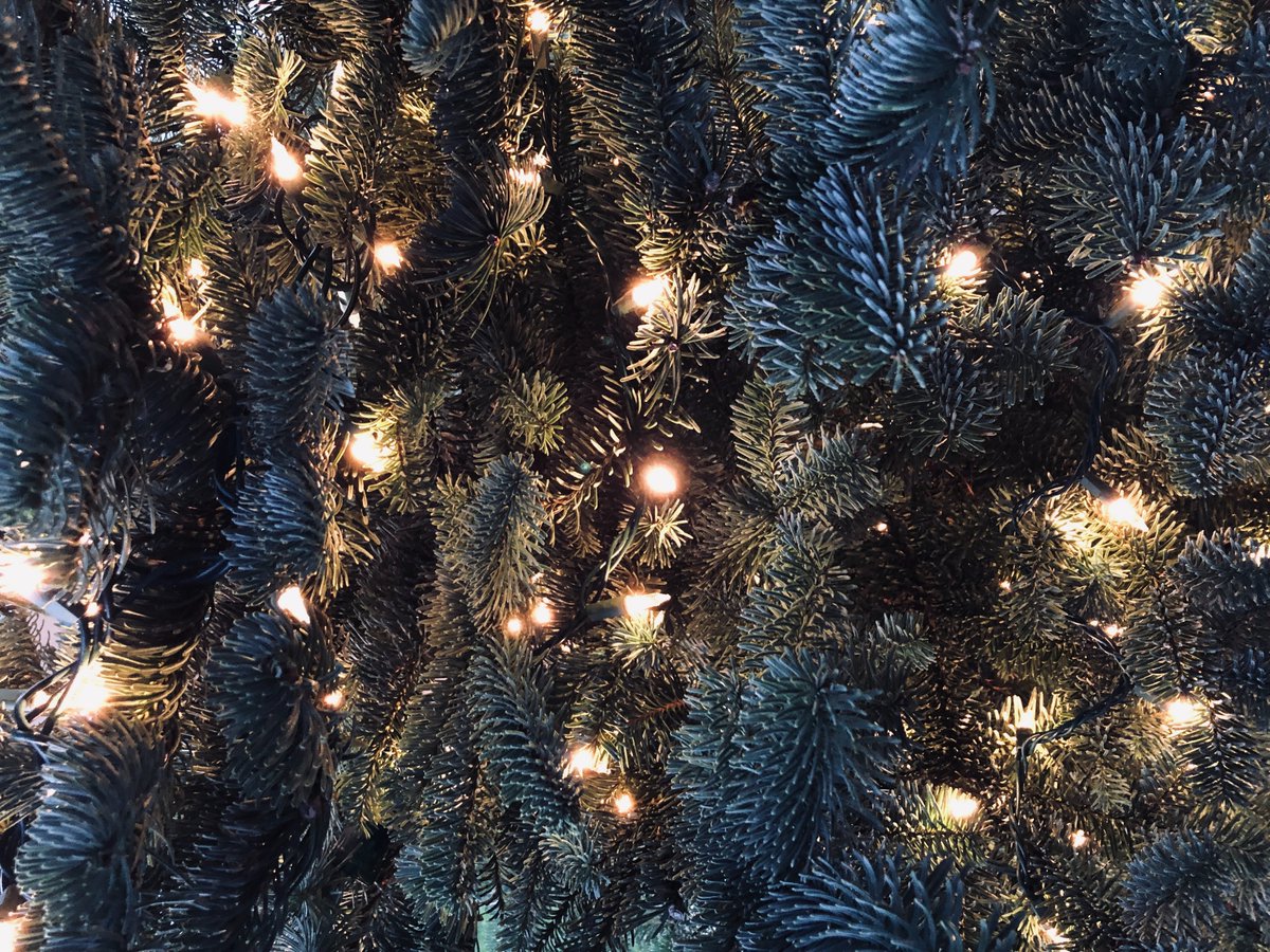nag_head's tweet photo. Pop down for festive drinks and nibbles with us this CHRISTMAS DAY to soak up the atmosphere and 
celebrate in the beautiful, cosy surroundings of our 17th century country pub. Bar open 11 - 5

#christmas #christmasday #winter #logfires #countrypub #nantwich #tarporley #cheshire https://t.co/whEalaUdMZ