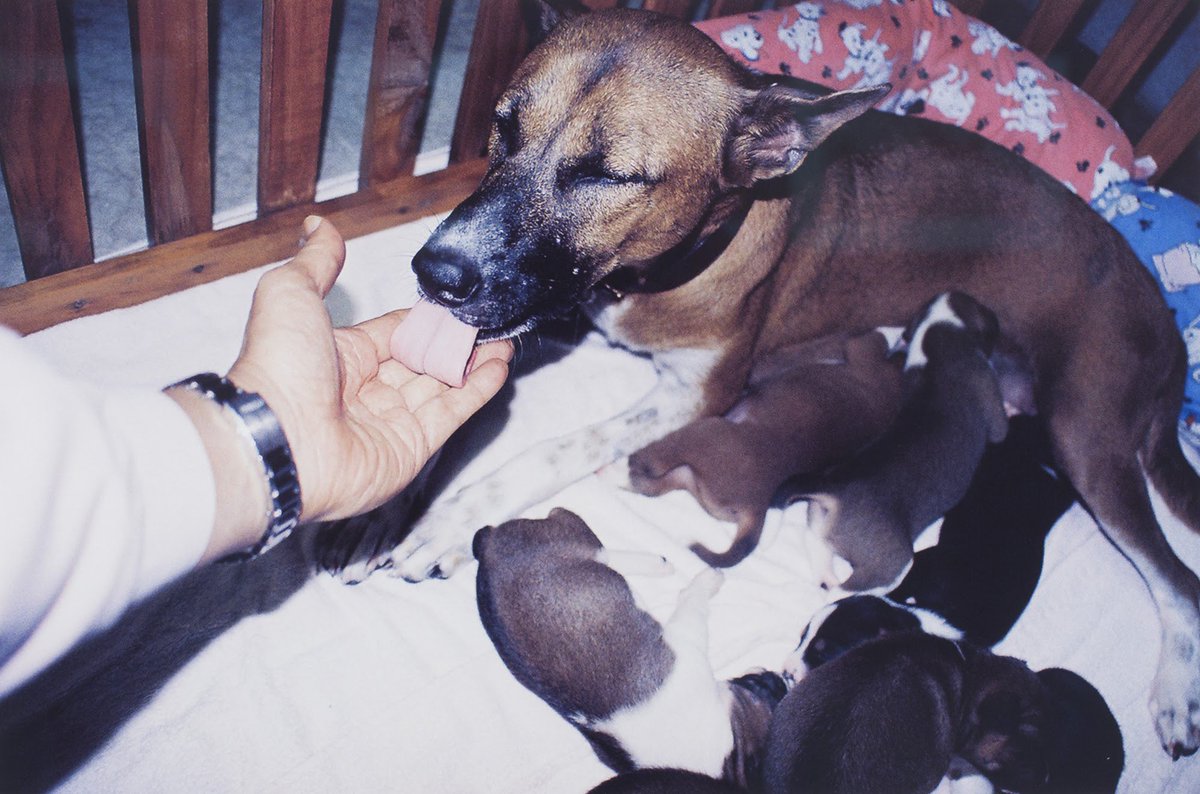 เสริมสิน สมะลาภา tweet media