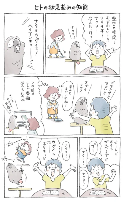 現在発売中の書籍「マンガでわかるインコ・オウムのきもち」
全部で80ページ以上のマンガを描かせていただきました?
楽しんでいただけましたら嬉しいです✨ 