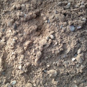 Websters Timber tweet media