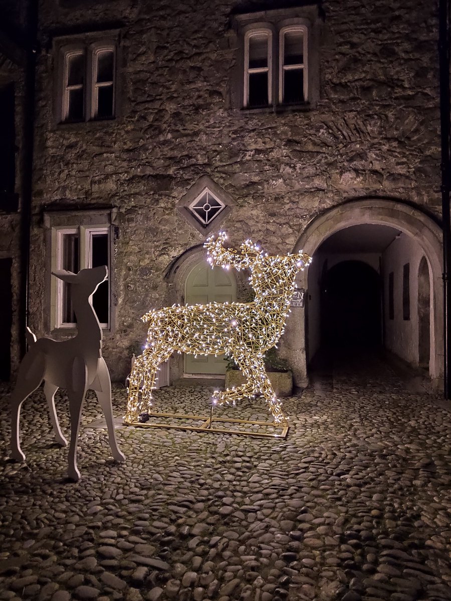 md_loc's tweet photo. Holiday lights in the medieval #RotheHouse #Kilkenny #Ireland https://t.co/k8rofnEnH2