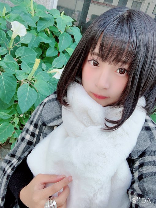 コスプレイヤーやよっぺ。のTwitter画像42
