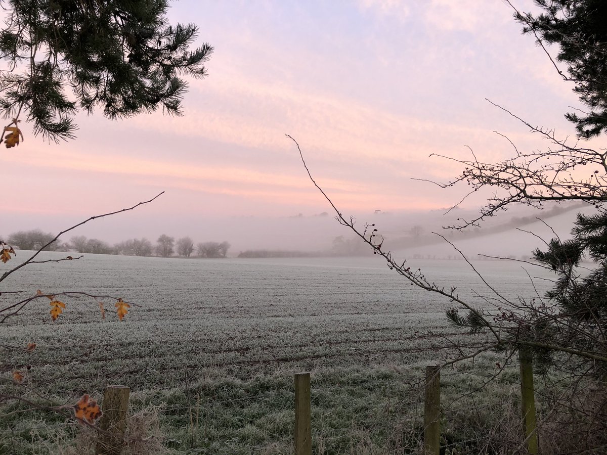 Good morning! 🙂❄️
White morning on the farm.
We hope you have a good beginning of the day. 

Brockmans Farm Produce
60 Years of Organic Heritage.
Kents First Organic and Biodynamic Farm. Growing and Supplying  Specialist Organic Heritage and Wild Produce.
#farm <a href="/thechasemarket/">The Chase Market</a>