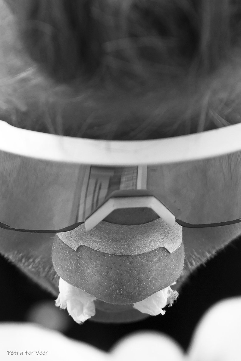 petraterveer's tweet image. At the end of the year, time for some lists. I selected my 15 favorite photos. First @roliveira57 @TeamUAEAbuDhabi
#cycling #timetrail