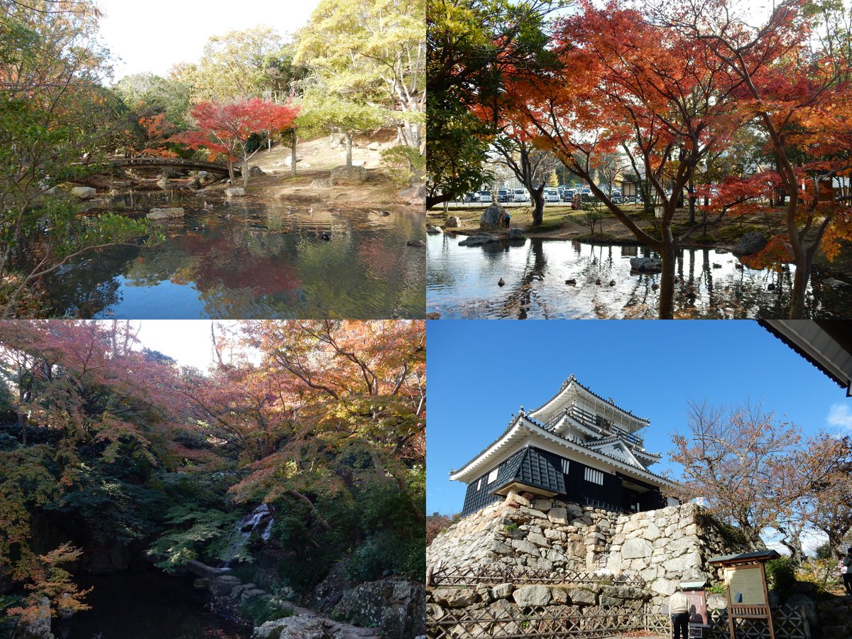 Weva 浜松市紅葉巡り５ 最後は浜松市中区の浜松城公園 天守閣付近の木はほとんど散ってたけど それ以外の場所は見頃にはまだまだ早い