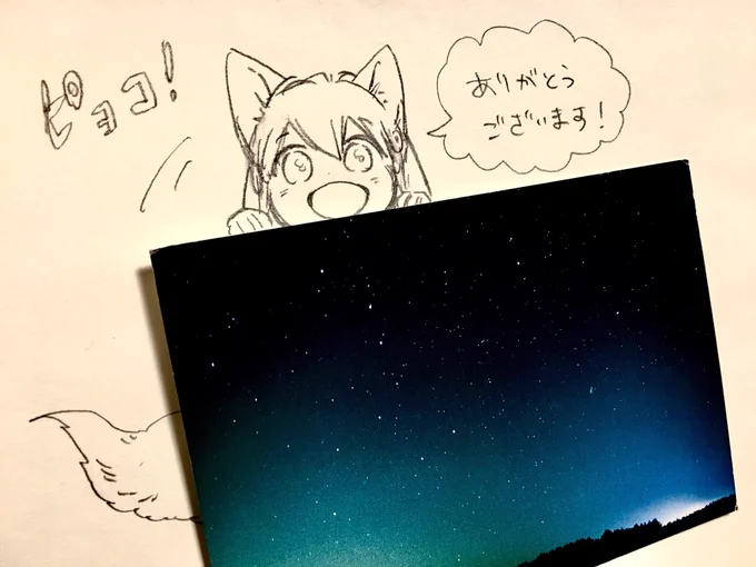 編集部よりファンレター届きました!
ありがとうございます??
ネップリ企画のご要望もありがとうございます。他の方からもご要望頂いていたのに、慌ただしさに追われて流されてしまっていたので、また年が明けてからやりたいと思います✨

1回こういうのやってみたかったんだ↓ 