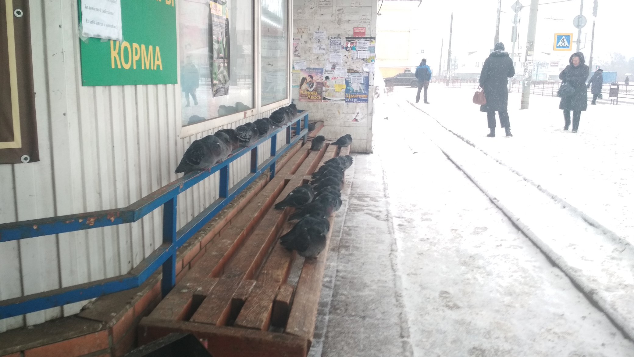 ELApYPAWwAISl_o?format=jpg&name=4096x409