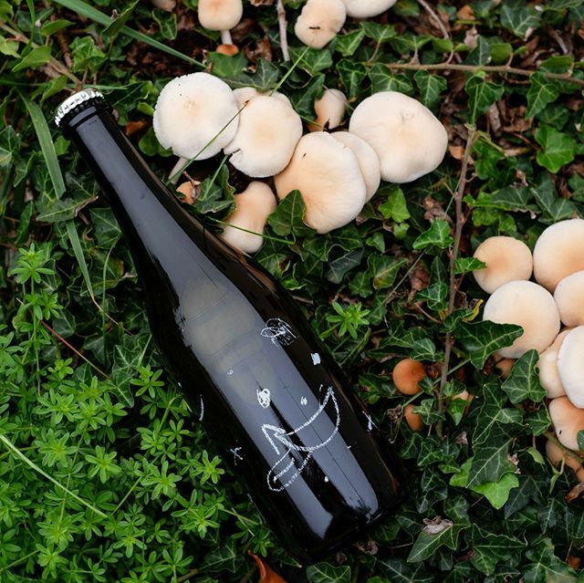 pivovarna's tweet photo. If you play the episode CL-041 of @goodbeerhunting you will notice a major shout out about our brewery. We still can't believe it. Now the smiling horse has a reason to smile so much! 🎠🤪⁠
⁠
#podcast #goodbeerhunting #beerblog #Pelicon #craftbeer #cra… https://t.co/e2bP01gpCM https://t.co/AtpyONVHyk