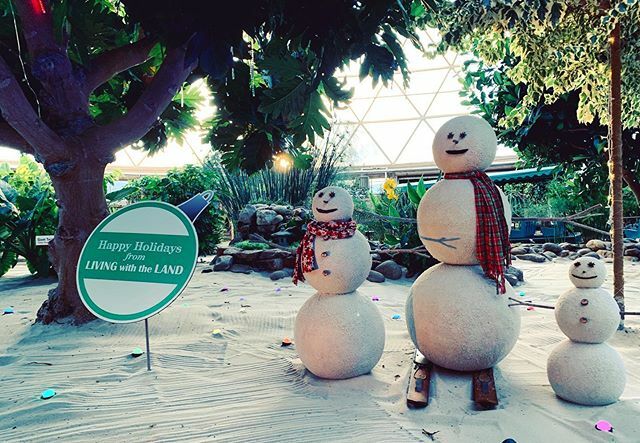 The Living with the Land holiday overlay is great! #livingwiththeland #disneychristmas #epcot #snowman #wdwadults #passholderlife #ouryearofdisney #yearofdisney ift.tt/33Pvj5D