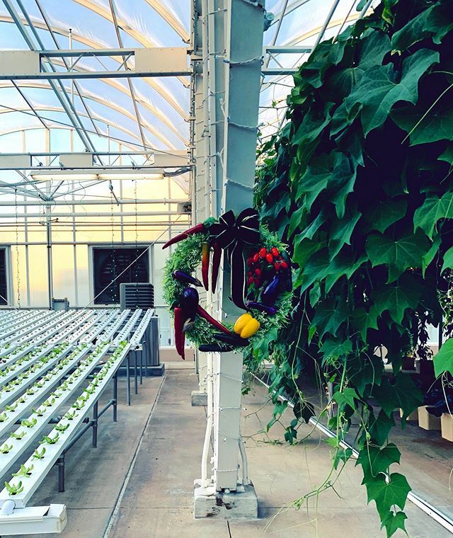 The Living with the Land holiday overlay is great! #livingwiththeland #disneychristmas #epcot #snowman #wdwadults #passholderlife #ouryearofdisney #yearofdisney #wreath #christmasdecor ift.tt/2RjyS18