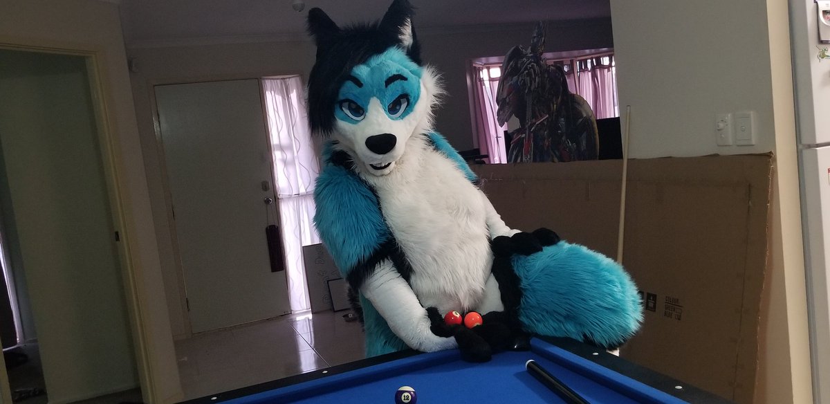 BluTooth_AD's tweet photo. Rub my balls 💙💙���
📷- @AwesomeRustyRex 
#softsuiter #fursuiting #furryfandom #fursuit #murr #fursuitthursday https://t.co/57YoDde6DJ