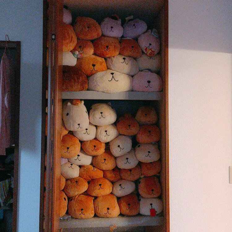 押し入れに大量のカピバラさんが⁉とにかく可愛すぎる‼