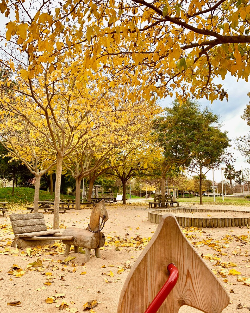 turismemalgrat's tweet image. Últims dies de tardor al Parc Francesc Macià. Quin goig de colors!
.
Últimos días de otoño en el Parque Francesc Macià. ¡Qué colores tan magníficos!
.
Last autumn days at Francesc Macià Park. What a treat of colors!
.
#MalgratFan #MalgratdeMar #MalgratTestima #MalgratTurisme