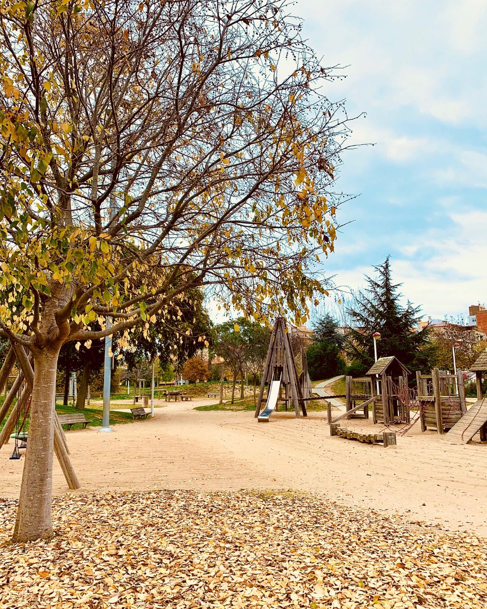 turismemalgrat's tweet image. Últims dies de tardor al Parc Francesc Macià. Quin goig de colors!
.
Últimos días de otoño en el Parque Francesc Macià. ¡Qué colores tan magníficos!
.
Last autumn days at Francesc Macià Park. What a treat of colors!
.
#MalgratFan #MalgratdeMar #MalgratTestima #MalgratTurisme