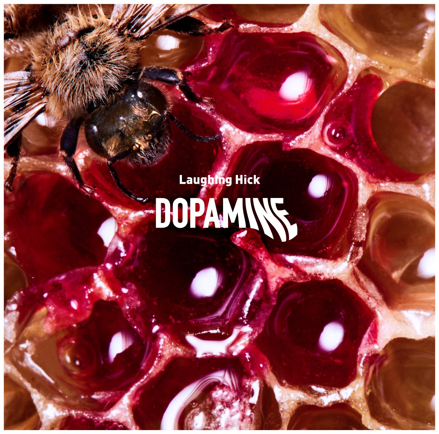 邦楽 Laughing Hick DOPAMINE Bye-Hi CD Laughing Hick DOPAMINE Bye-Hi CD