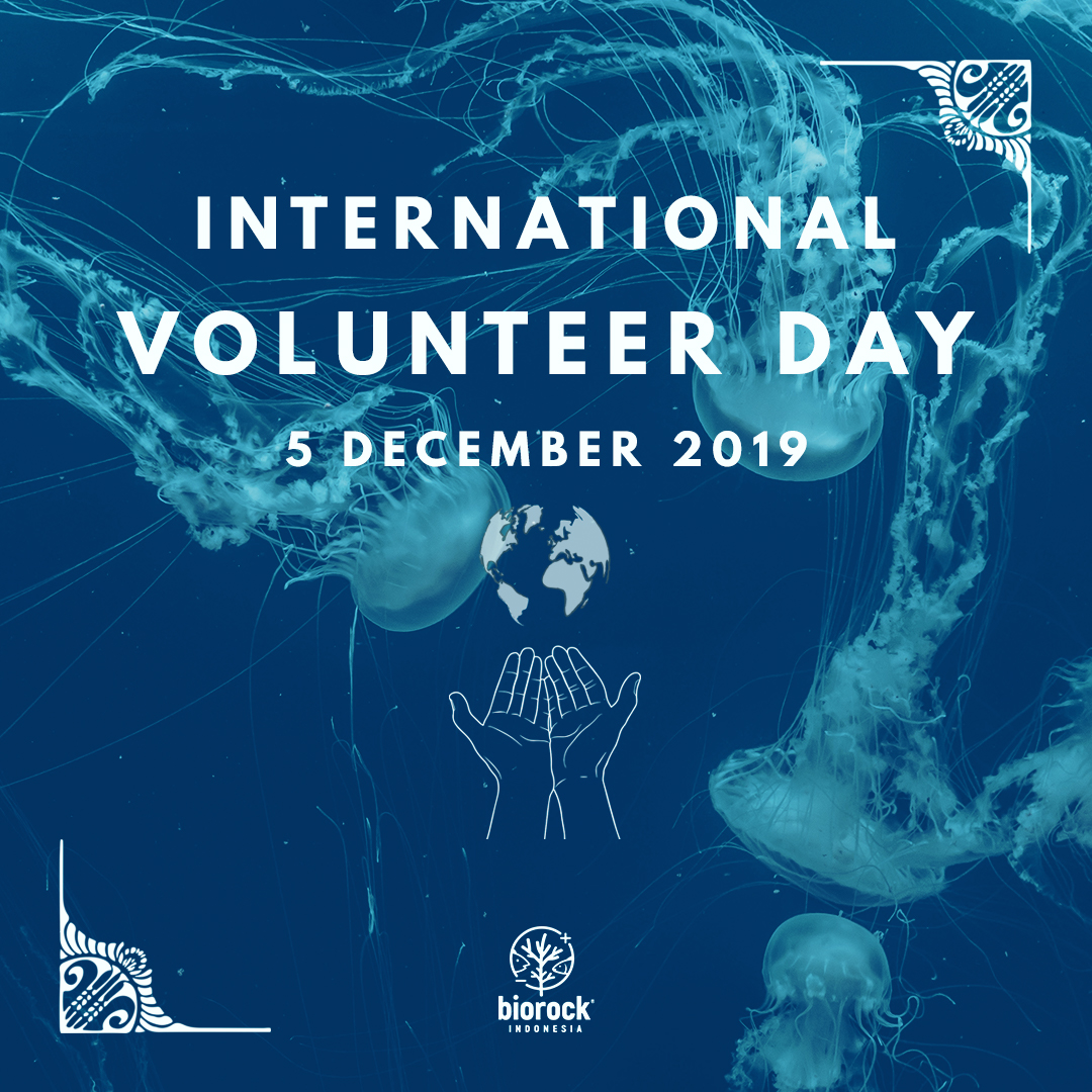International Volunteer Day. We would like to thank all of the volunteers who have given their help in our effort to restore, rehabilitate, and conserve coral reefs.
#biorock #biorockindonesia #coralreef #conservation #bali #coral #restoration #karanglestari #ayobantuseKarang