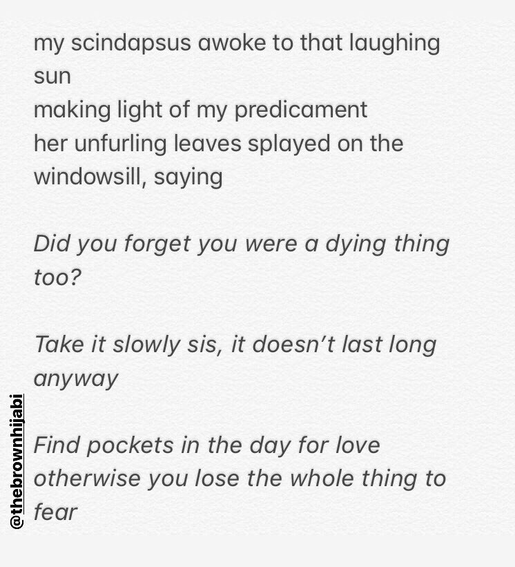 thebrownhijabi's tweet photo. I found my first grey hair yesterday and it made me pause and reflect on my mortality - I wrote this idk I kind of like it and kind of don’t so here I am sharing x https://t.co/WbAaxLYhO1