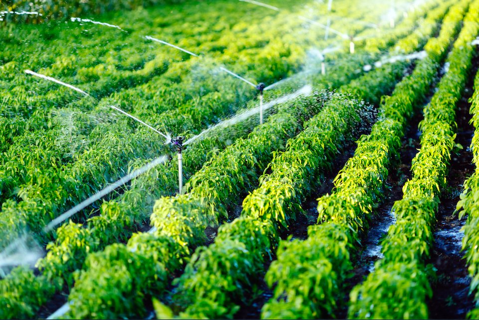 AcusterWater's tweet photo. Water reuse: @EU_Commission welcomes the provisional agreement on minimum requirements for #water reuse in #agriculture https://t.co/BxTbXthXIf #agua #agricultura https://t.co/Os5DWi0lA7