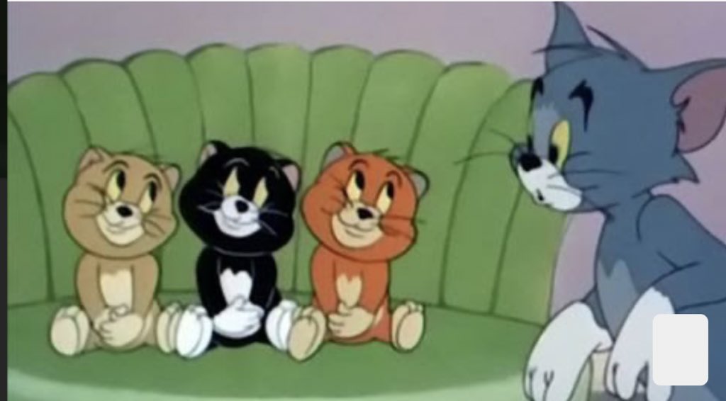котенок том 3. котенок том 3. ладимир сутеев: три котёнка. котята мейн кун 3 недели. котенок из том и джерри.