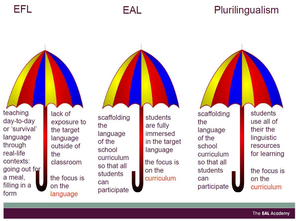 paltasangeeta's tweet photo. For those who still don’t understand what we do in EAL #ellchat #chatesl #ellchat_bkclub #educhat #teachchat #WIDA #k12 #ESOL #gesslearns #PrimaryRocks #primary #englishvocabularysizetest https://t.co/CLzB9XD8MK