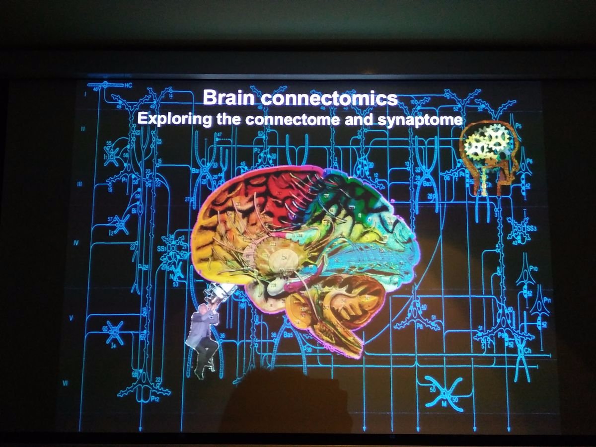 EITN_Paris's tweet photo. Day 2️⃣ : The #EITNworkshop continues this morning with a talk of @javier_defelipe from @InstitutoCajal on Brain connectomics https://t.co/abRB3KxW8f