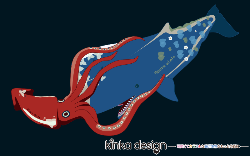キタムラ100 金魚と海のいきもの展 By Kinkadesign 今年の作品はなるべく海洋生物を学術的に感じた イラストを 中心に あとはデザインであったらいいなと思う Cafeステッカー イラストを作りました イルカとクジラの大きさ4m シャチのスパイ