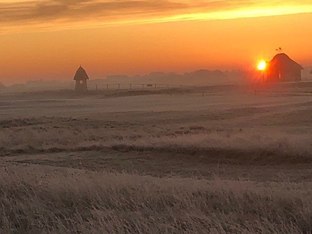 TISScotlandLtd's tweet photo. A lovely way to start another morning @RoyalStGeorges1
#sunrise #golfcourse #fibreoptics #TheOpen2020

#irrigation #25years #installation #maintenance #sprinklers https://t.co/leLuPhoQZF