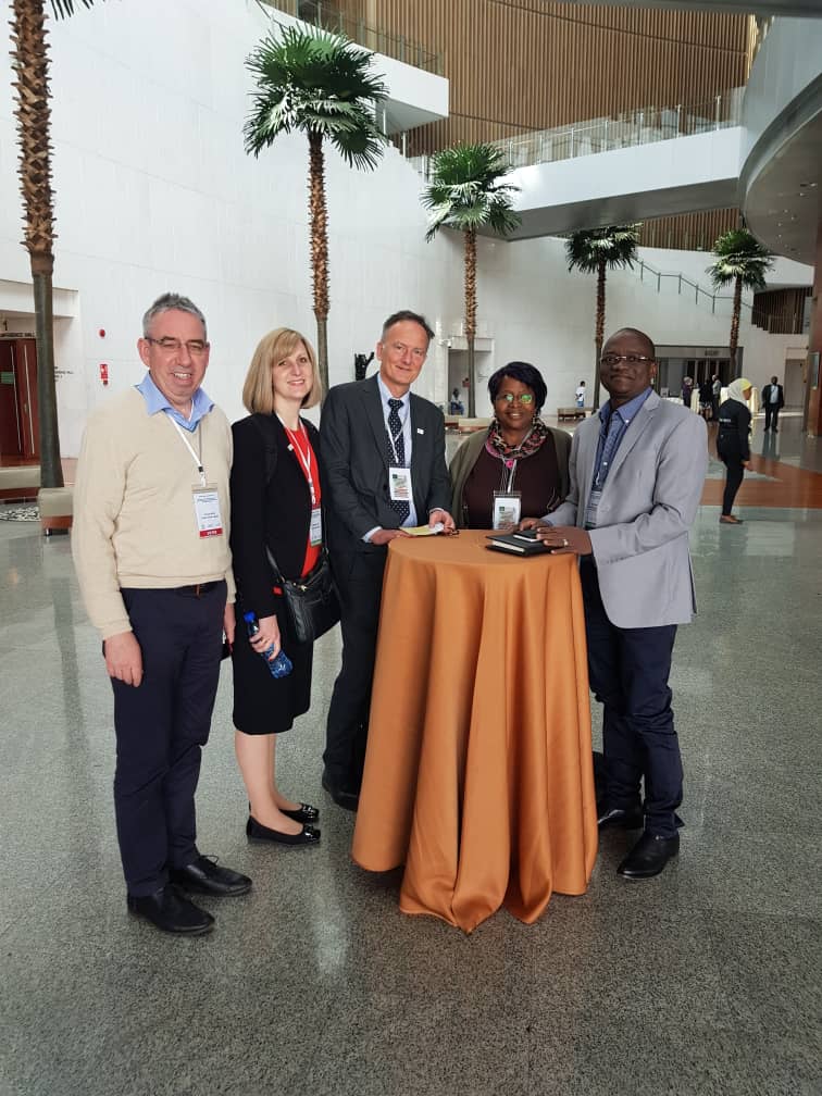 NPHI of Burkina Faso  with public health England. Perspectives about their  methodology support to produce qualities public health evidences to inform MoH. IANPHI Annual meeting at Addis-Abeba. 5th december 2019.