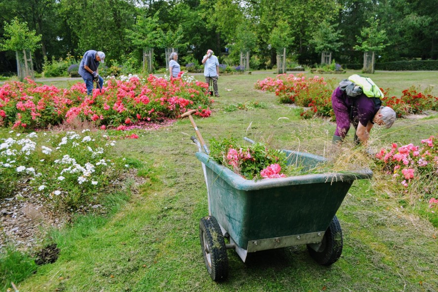 greenspacesyork's tweet photo. As it's #InternationalVolunteerDay, let's take a moment to appreciate the fantastic volunteers whose hard (and often unnoticed) work makes York's green spaces beautiful, welcoming, and environmentally friendly! 🏆⭐️💚 #Redfearn #HullRoadPark #RowntreePark https://t.co/Ord8UXiaHM
