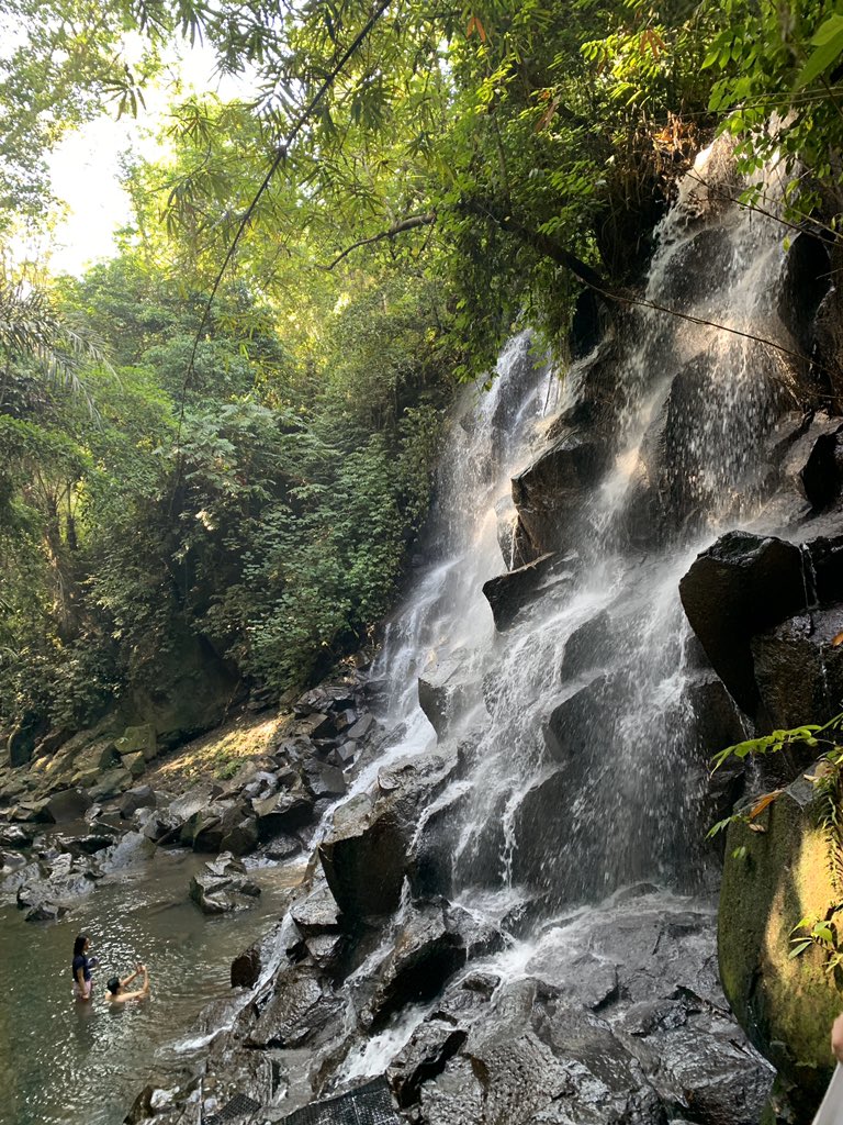 Ubud, Indonesia 🇮🇩