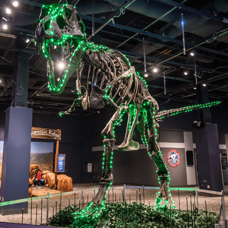 icFlorida.com tweet media