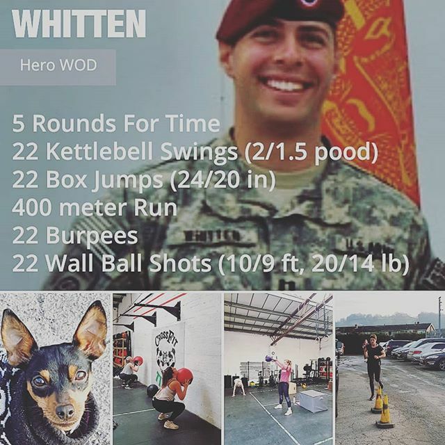 The Whitten WOD is a long and grueling CrossFit Hero WOD that will test your endurance and efficiency with mostly lightweight movements. Unlike many hero workouts, Whitten involves no heavy barbells. ... Your best bet is to stay efficient, have a strategy, and grind through.…