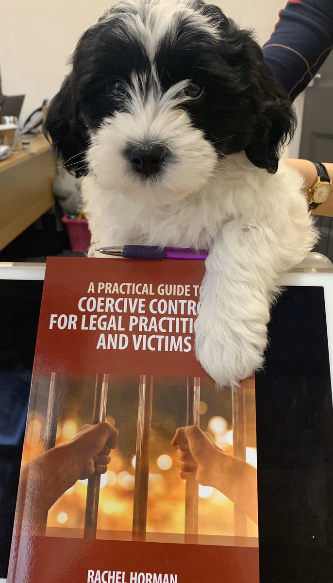 rachelhorman's tweet photo. Judge Jasper is tooled up on #coercivecontrol you can get your copy here https://t.co/exx4hb2GET @lawbriefpub https://t.co/qC70czKTNY