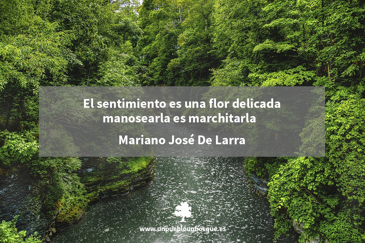 bosque_un's tweet photo. #Unpueblounbosque #Laldeajardineria #Laldeavivero #Fundabem #Ávila https://t.co/l8v4jxaOS5