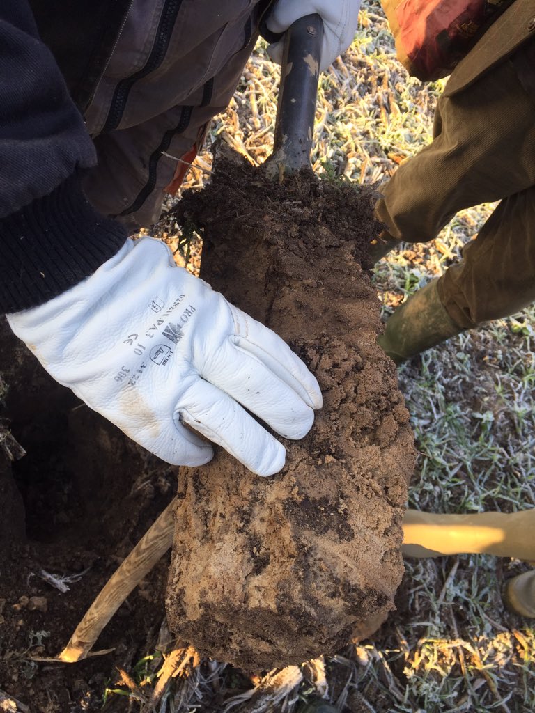 tstorr1's tweet photo. Spending #WorldSoilDay on farm with @FthomasTcs who gave @baseuk members a fascinating insight into his cover and cash crop strategies to manage soils and water as efficiently and effectively as possible https://t.co/SwhXn01kJ8