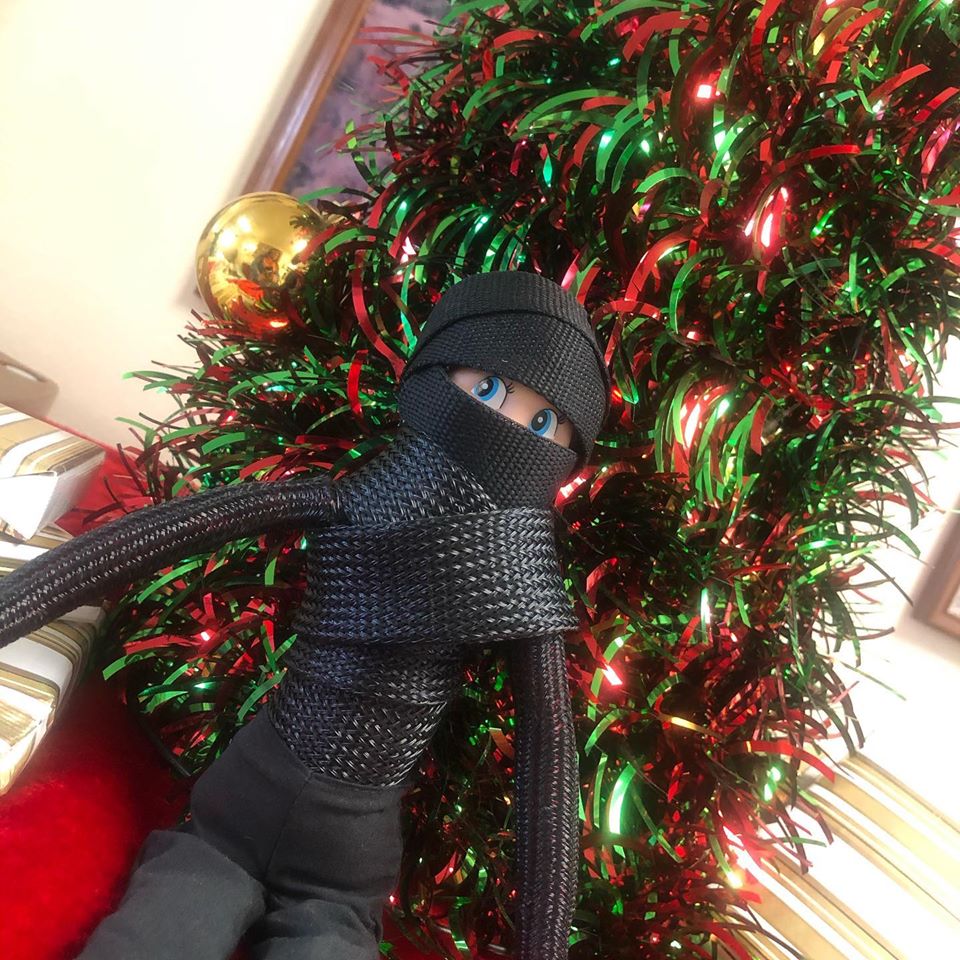 PascoMosquito's tweet photo. #Elfopictus is celebrating #InternationalNinjaDay cozied up next to the tree reading “Mosquitoes Can’t Bite Ninjas” https://t.co/Cx9s00rpta