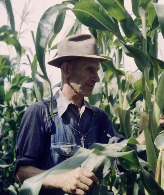 Did you know? 

- 45% of farmers have high stress
- 58% of farmers experience anxiety 
- 35% of farmers experience depression 

If you are struggling or know someone who is there are resources available that can help. Check out this website to learn more:

cmhagb.org/story/raising-…