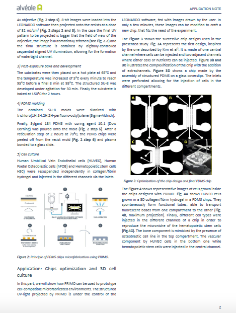 New application note: Fast prototyping of organ-on-a-chip with PRIMO! Collaboration @Po_Strale @AlveoleLab & #CytoMorphoLab @BenoitSouquet @BenVianay @ManuelTHERY. Download it here: alveolelab.com/resources-supp… #cellbiology #organonachip #3Dcellculture #microfluidics #microfabrication