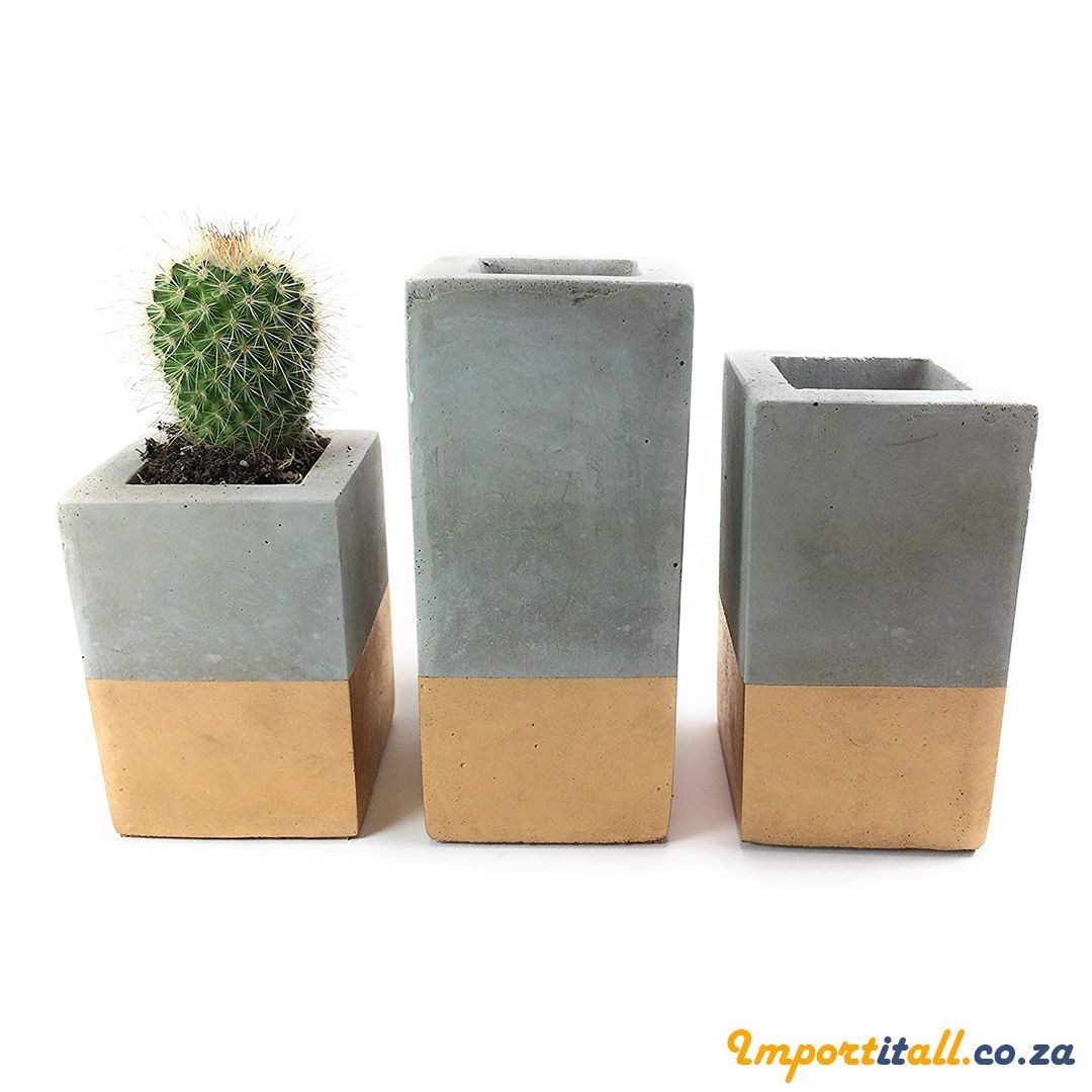 ImportItAll's tweet photo. Designed for Succulents, Air Plants or Stems - https://t.co/YSlPA4ZEn6 https://t.co/Jz91hvI3mM
