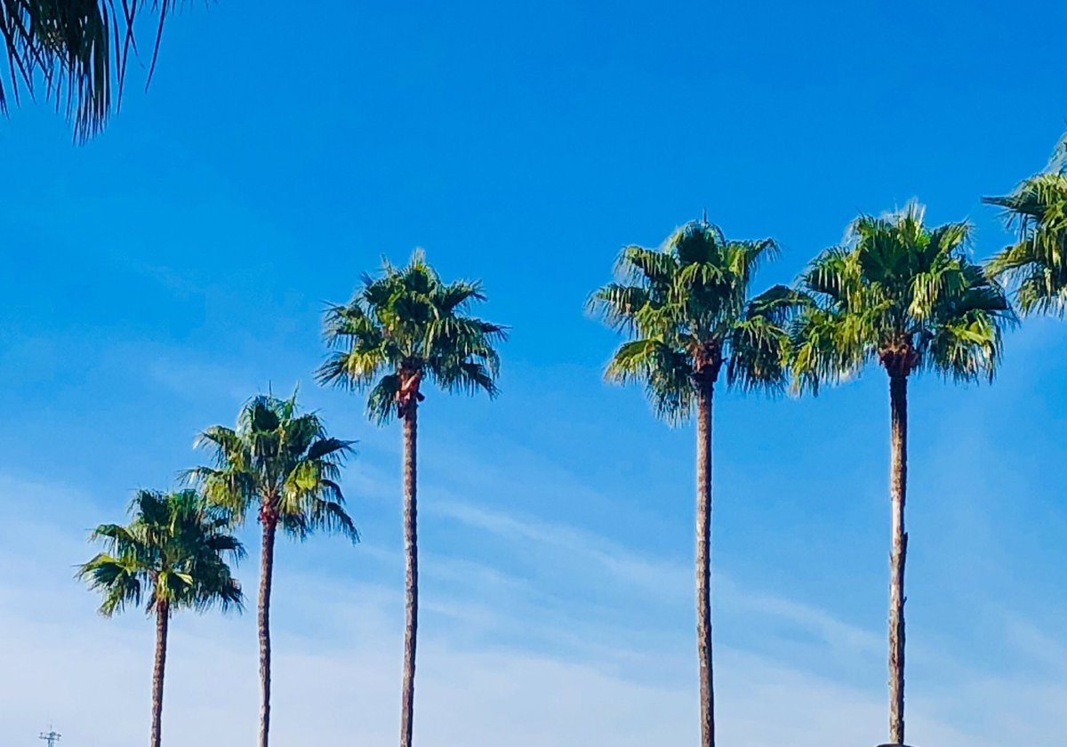 Another beautifully sunny day at #lra2019 and the perfect opportunity to come and discuss all things publishing with #RoutledgeEd! Come and find us and our fantastic literacy books in the exhibition hall today 📚 📚 📚