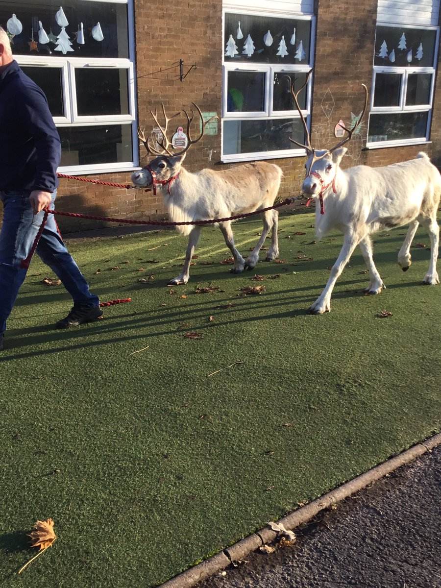 Springwood_Prm's tweet photo. Pupil council are writing an article all about our fantastic Christmas fayre which was a huge success #springfamily #springvoice #UNCRC #righttospeakout https://t.co/BNP2DfvnHf