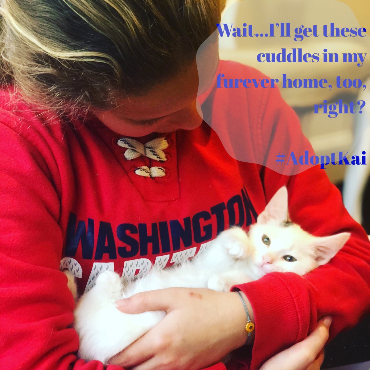 HomewardTrails's tweet photo. https://t.co/L3w6n2vmDt