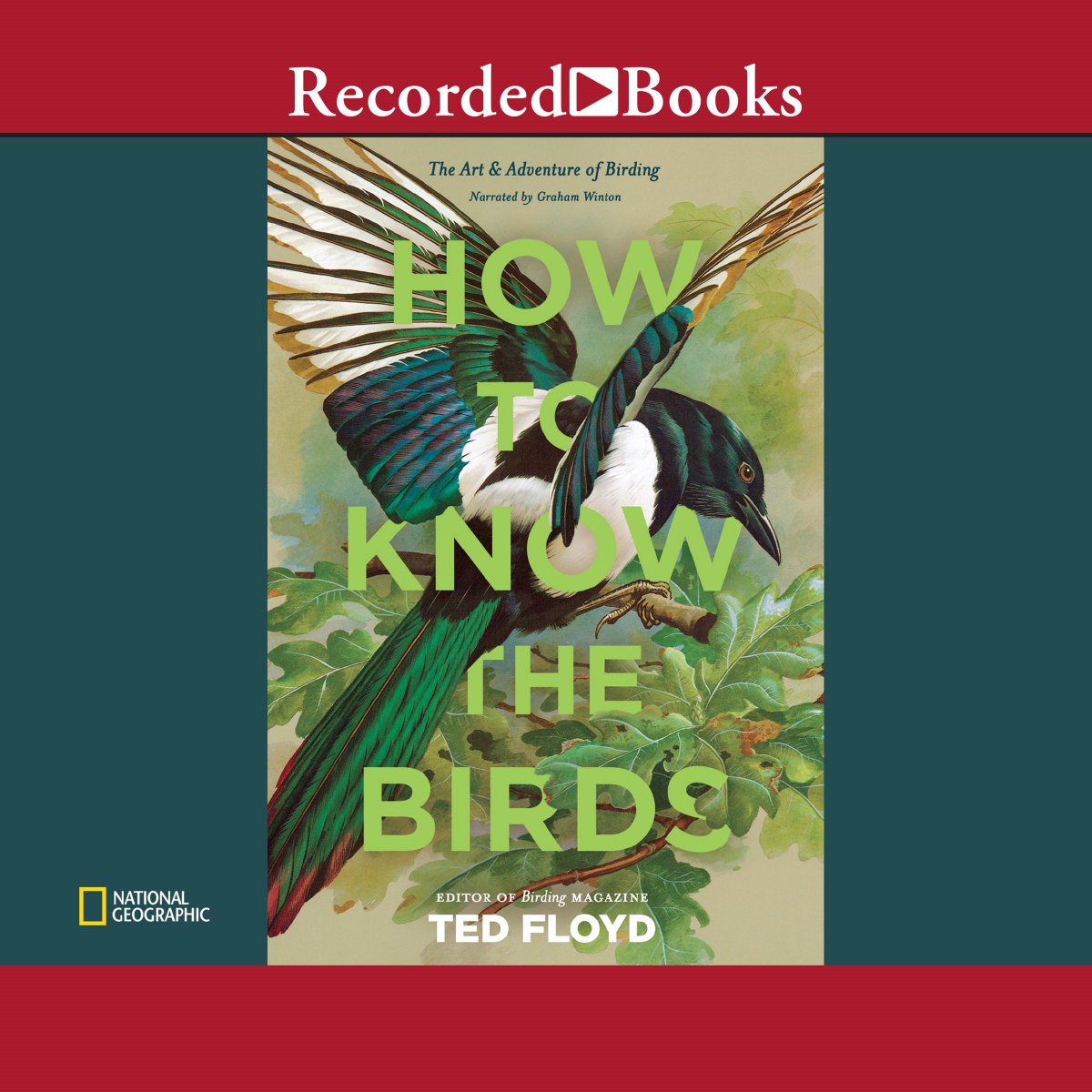 recordedbooks's tweet photo. HOW TO KNOW THE BIRDS by @BirdingMagazine Read by #GrahamWinton
"Listeners who've been curious after bird sightings will find a range of ways to dig deeper into birding. "- @AudioFileMag
https://t.co/4l1YLCtNN6 https://t.co/iIjh541kDO