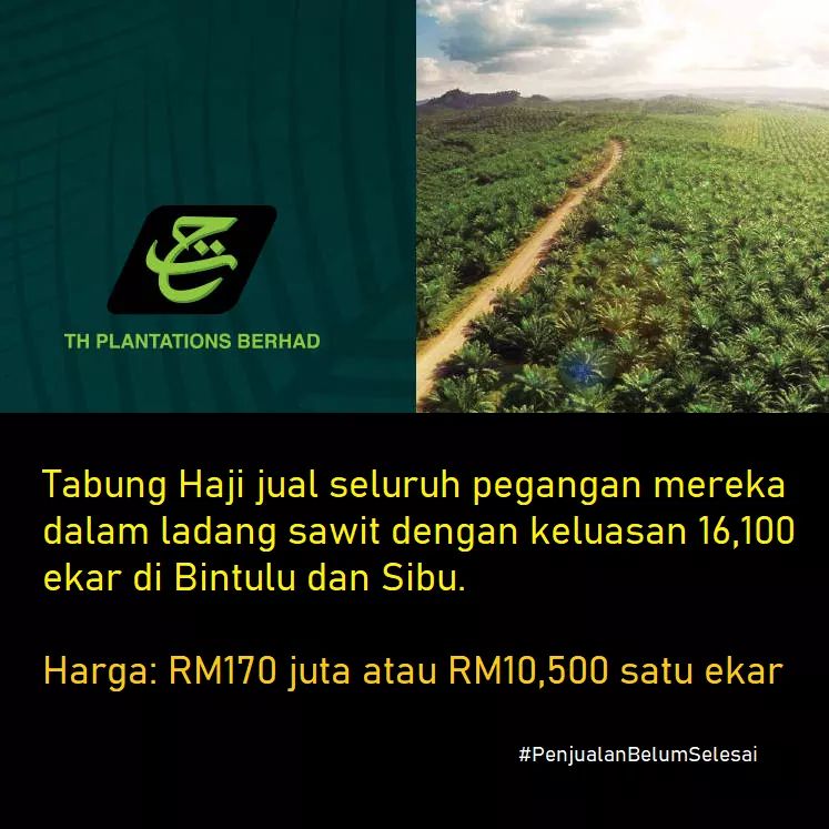 Ladang ini dibeli dalam 2 pakej pada 2012 dan 2013 dari syarikat bukan Bumiputera dengan harga RM245j - selaras dengan matlamat asal TH iaitu memperkasakan ekonomi umat Islam.

Tetapi semua telah dijual balik kepada syarikat milik bukan Bumiputera dengan harga RM170j hari ini