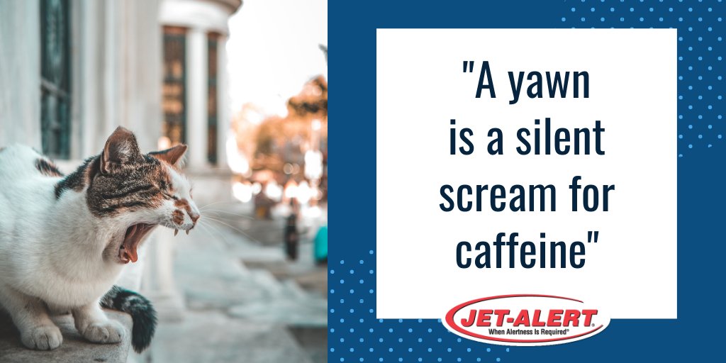 JetBrands's tweet photo. "A yawn is a silent scream for caffeine"
When alertness is required, choose Jet-Alert Caffeine Pills! #caffeinate #caffeinepills #caffeinetablets #whenalertnessisrequired https://t.co/RpbOKqn11e